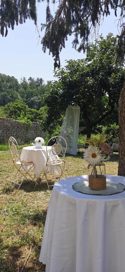 La Maison De Jardin Lucques Extérieur photo