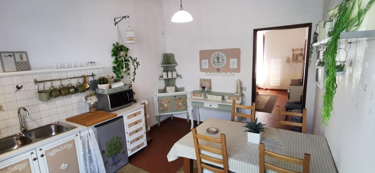La Maison De Jardin Lucques Extérieur photo