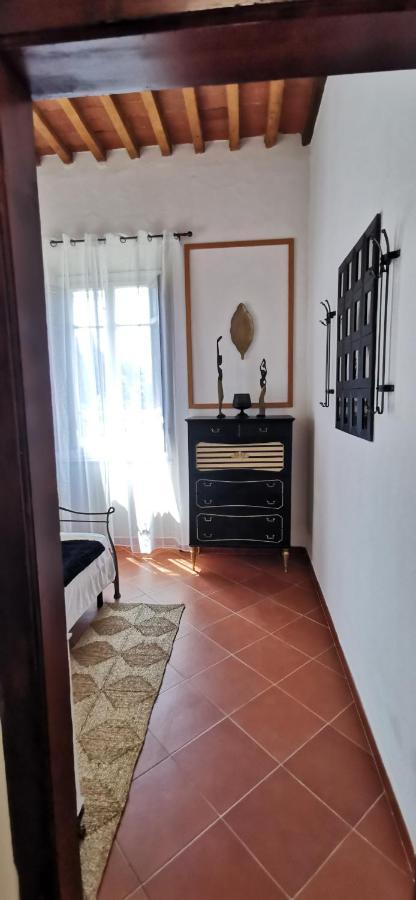 La Maison De Jardin Lucques Extérieur photo