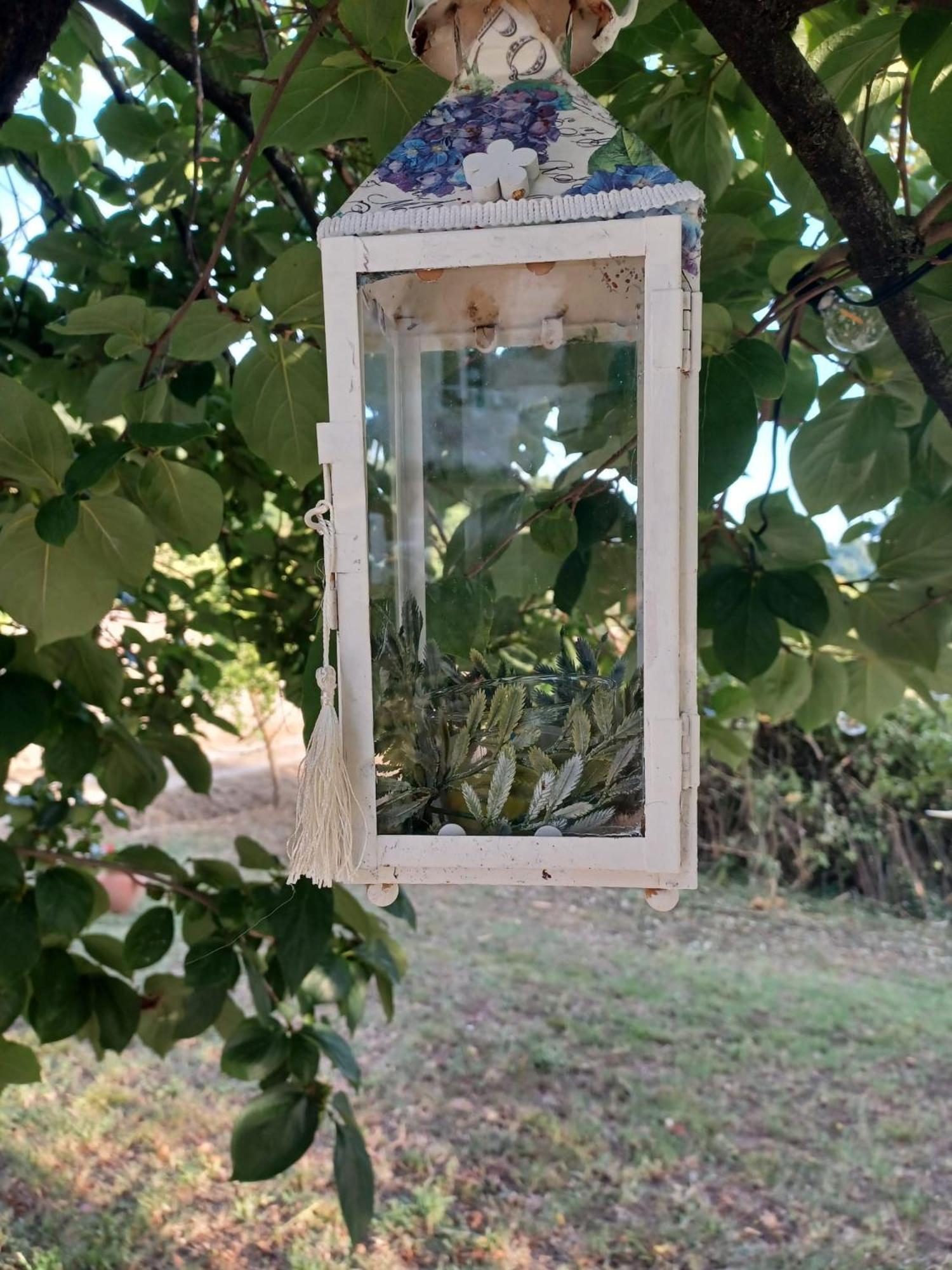 La Maison De Jardin Lucques Extérieur photo